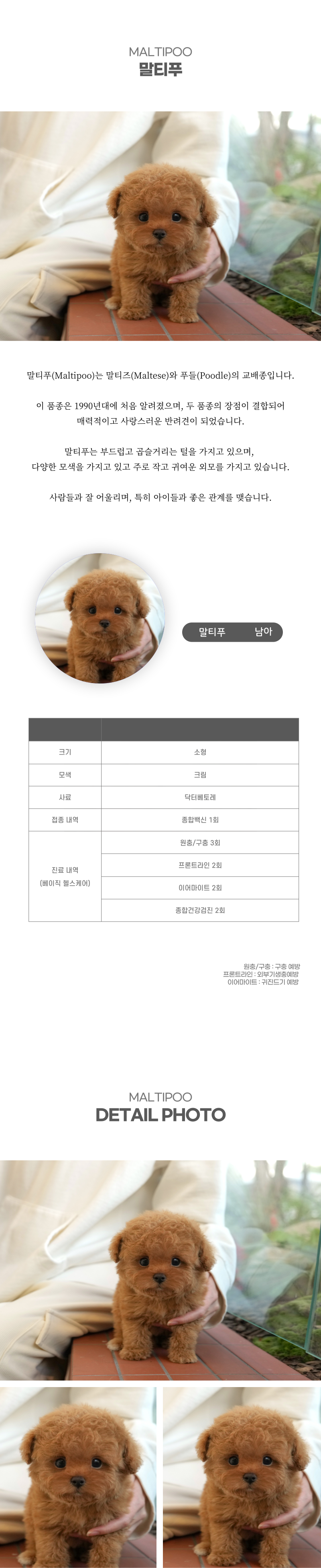 말티푸_상세이미지_2